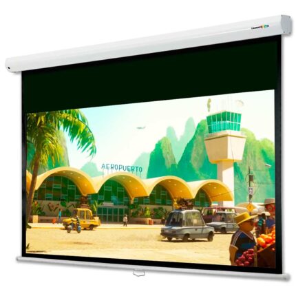 Проекционный экран Cadanz CB-P106BG